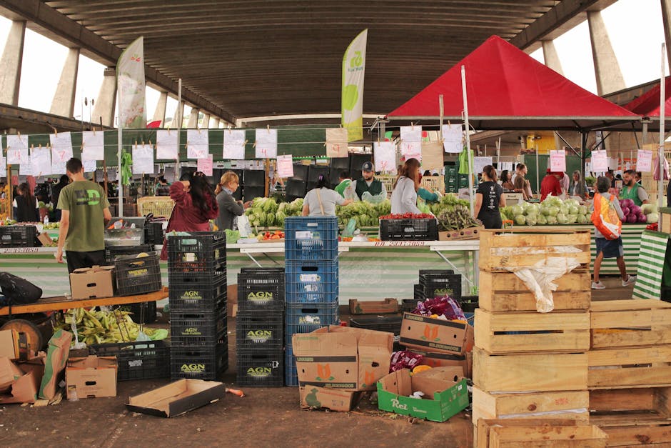 3월 제철 음식 봄나물 종류 — 맛있게 먹고 건강해지는 봄 식재료 가이드