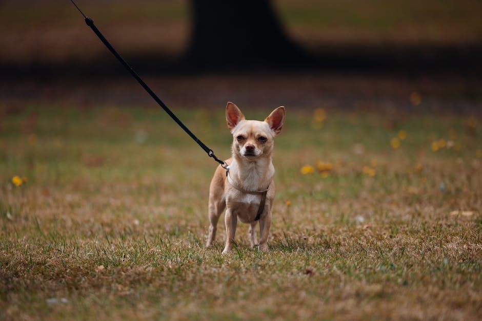 스타필드 관련 이미지