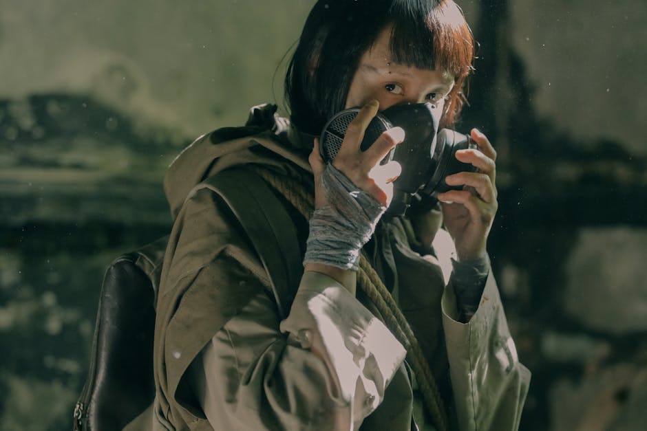 자동차보험 비교 견적 할인 관련 이미지