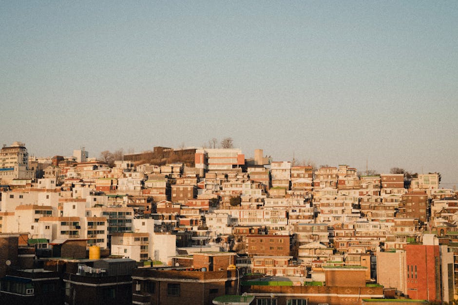 수성구 관련 이미지