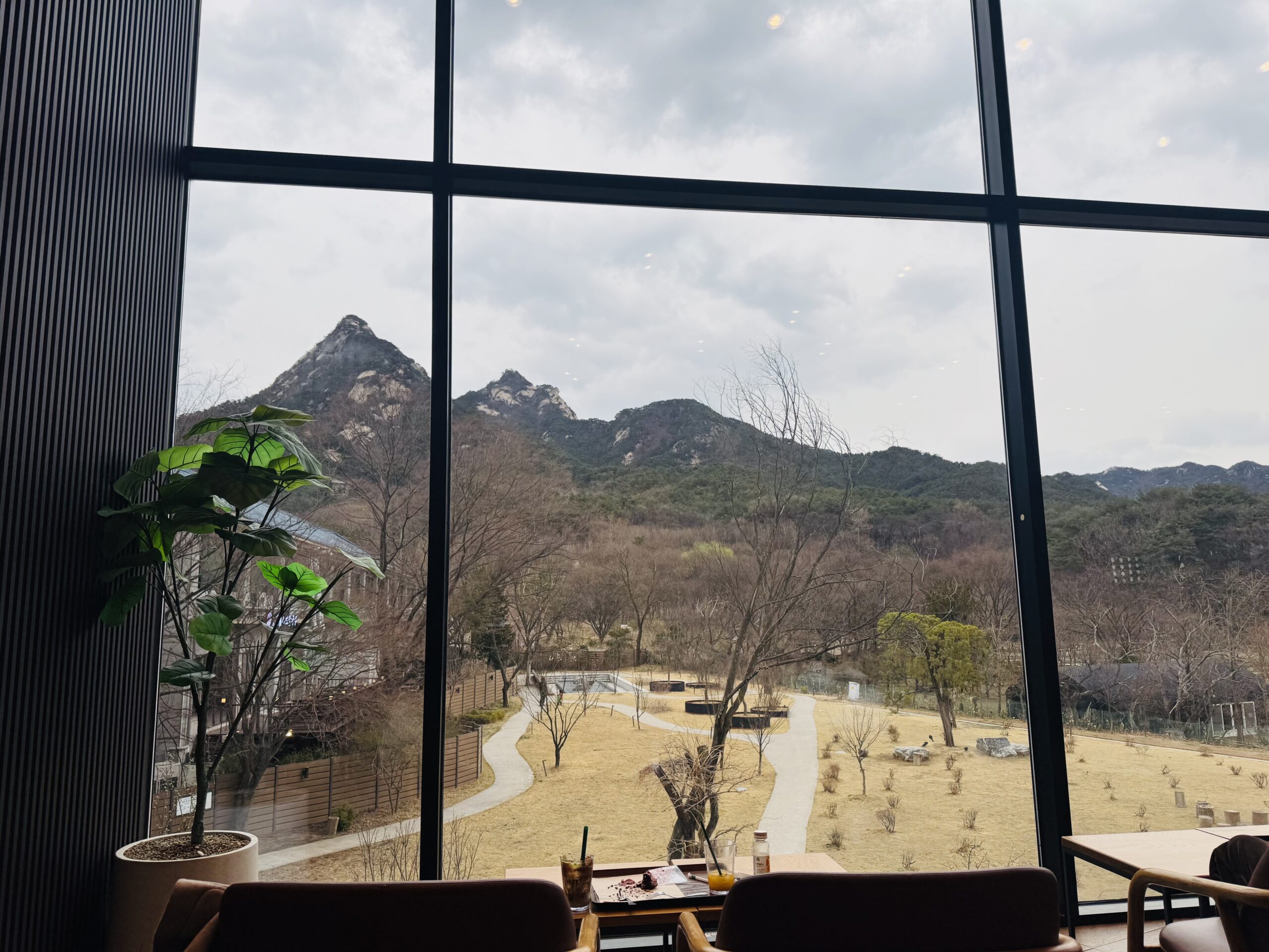 스타벅스 북한산점 통창 너머 북한산 뷰